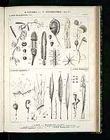  no thumbnail available