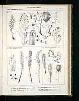  no thumbnail available