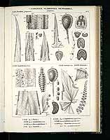  no thumbnail available