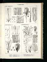  no thumbnail available