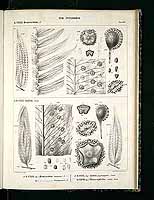  no thumbnail available