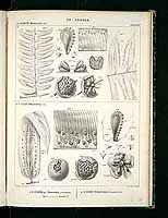  no thumbnail available