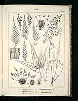  no thumbnail available