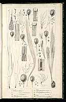  no thumbnail available