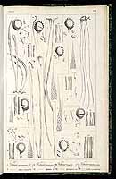  no thumbnail available