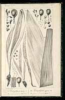  no thumbnail available