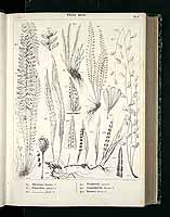  no thumbnail available