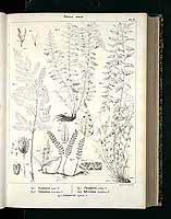  no thumbnail available