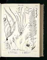  no thumbnail available