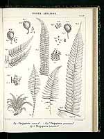  no thumbnail available