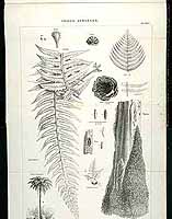  no thumbnail available