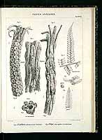  no thumbnail available