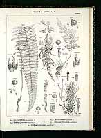  no thumbnail available