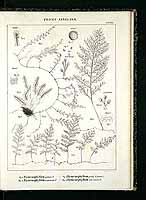  no thumbnail available