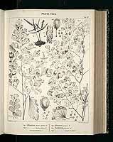  no thumbnail available