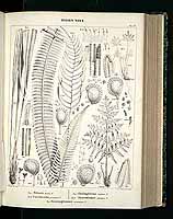  no thumbnail available