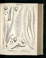  no thumbnail available