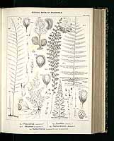  no thumbnail available