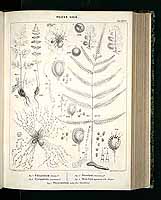  no thumbnail available