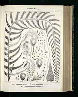  no thumbnail available