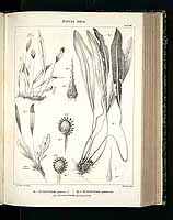  no thumbnail available