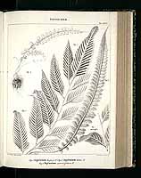  no thumbnail available