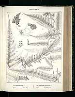  no thumbnail available