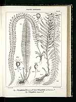  no thumbnail available