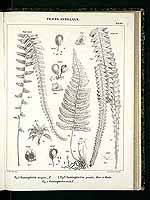  no thumbnail available