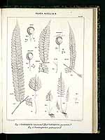  no thumbnail available