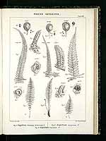  no thumbnail available