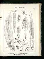  no thumbnail available