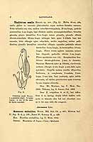  no thumbnail available