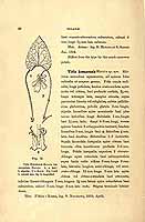  no thumbnail available