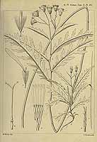  no thumbnail available