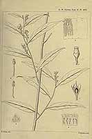  no thumbnail available