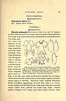  no thumbnail available