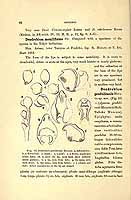  no thumbnail available