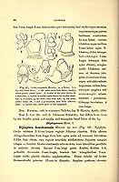  no thumbnail available