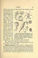  no thumbnail available