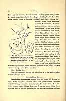  no thumbnail available