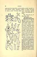  no thumbnail available