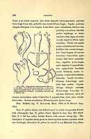  no thumbnail available