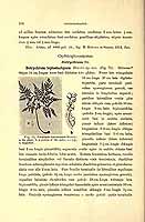  no thumbnail available