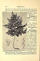  no thumbnail available