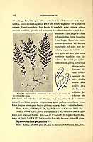  no thumbnail available