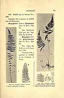  no thumbnail available