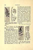  no thumbnail available