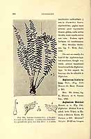  no thumbnail available