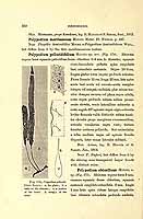  no thumbnail available